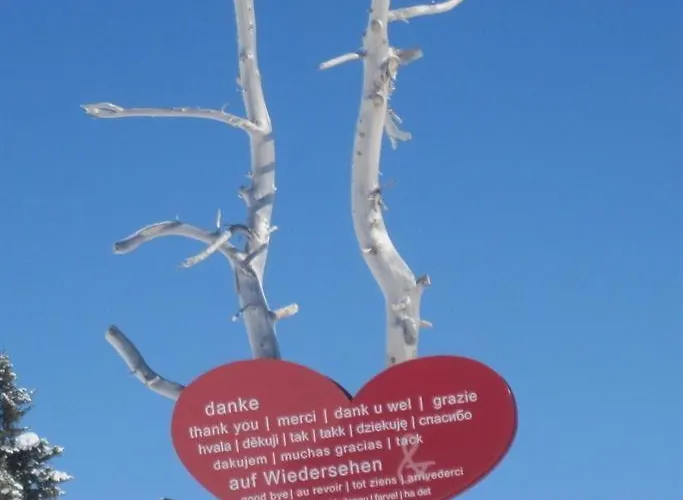 Apartment Friedheim, Haus